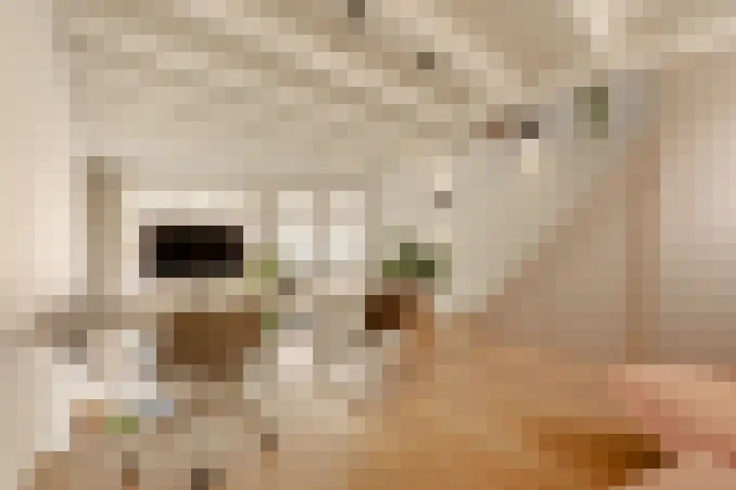 Lijnbaansgracht 90 Amsterdam thumbnail 20