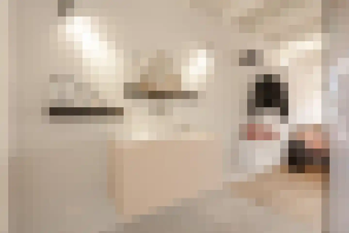 Lijnbaansgracht 90 Amsterdam thumbnail 31
