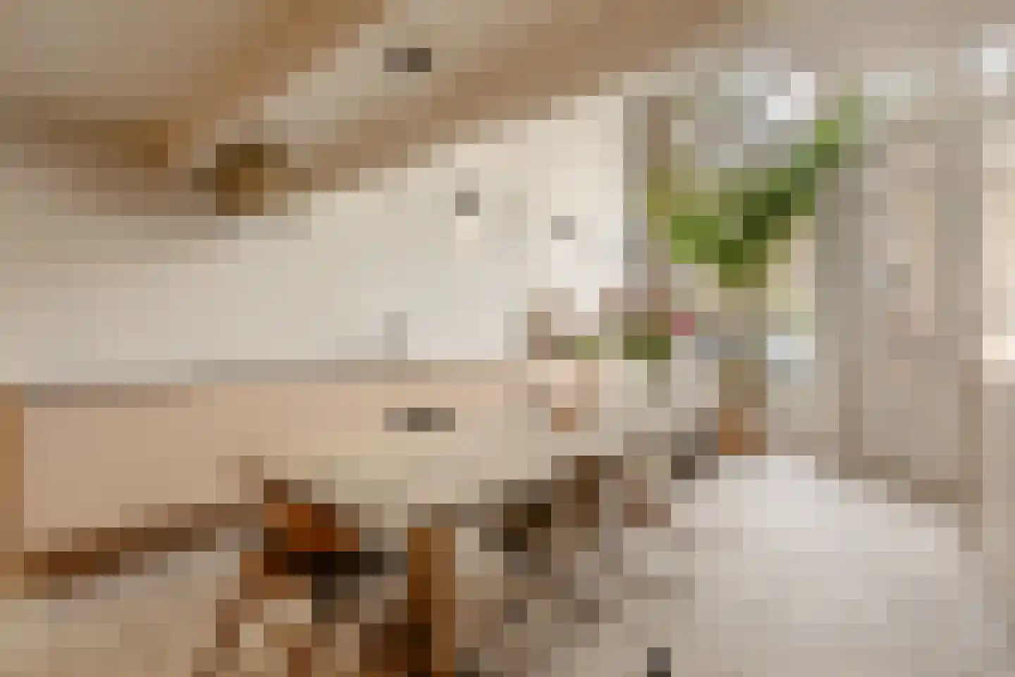 Lijnbaansgracht 90 Amsterdam thumbnail 5