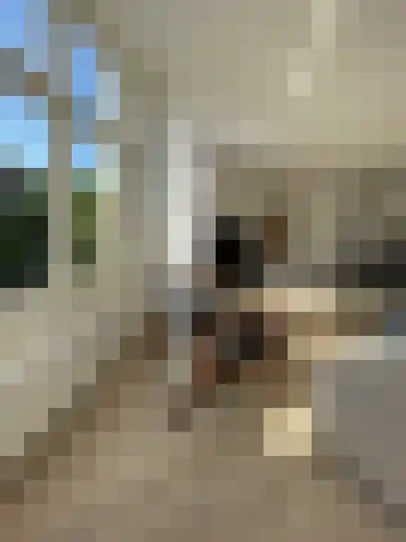 Lijnbaansgracht 91 Amsterdam thumbnail 4