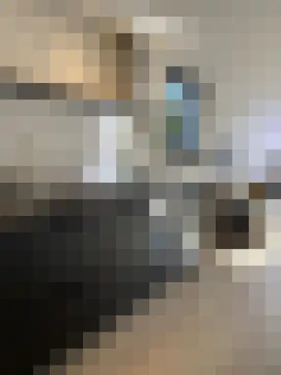 Lijnbaansgracht 91 Amsterdam thumbnail 5