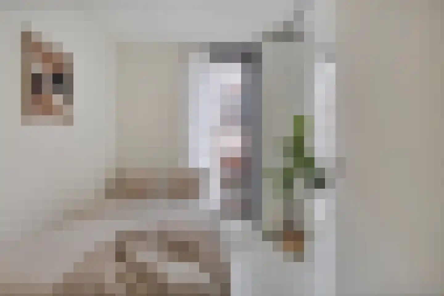 Lijnbaansstraat 2 D Amsterdam thumbnail 18