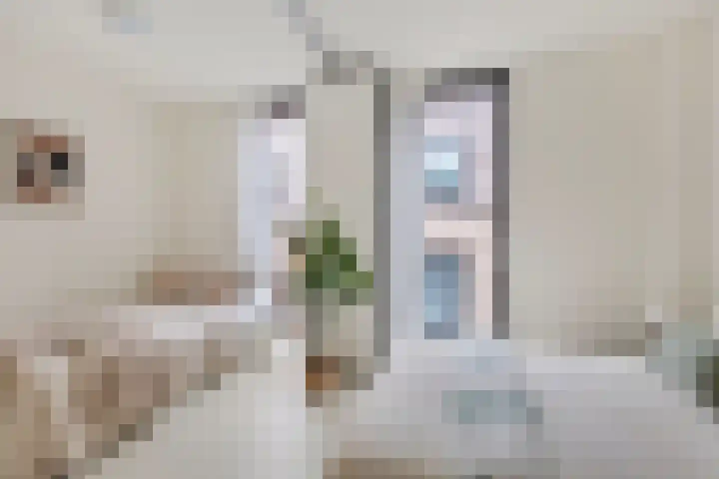Lijnbaansstraat 2 D Amsterdam thumbnail 19