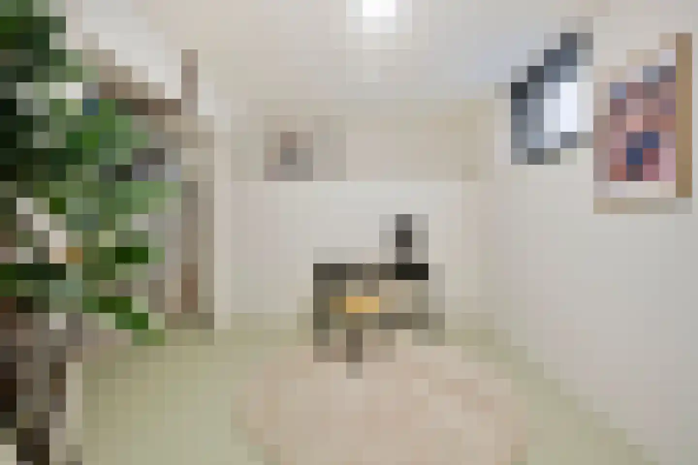Lijnbaansstraat 2 D Amsterdam thumbnail 28