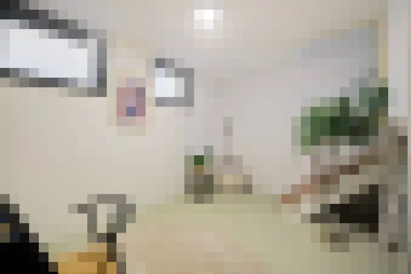Lijnbaansstraat 2 D Amsterdam thumbnail 29
