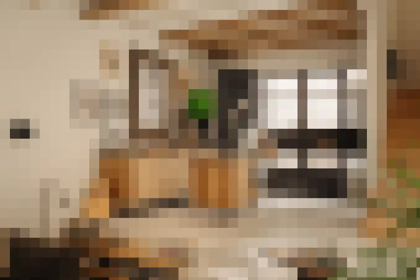 Lijnbaansstraat 3 A Amsterdam thumbnail 10