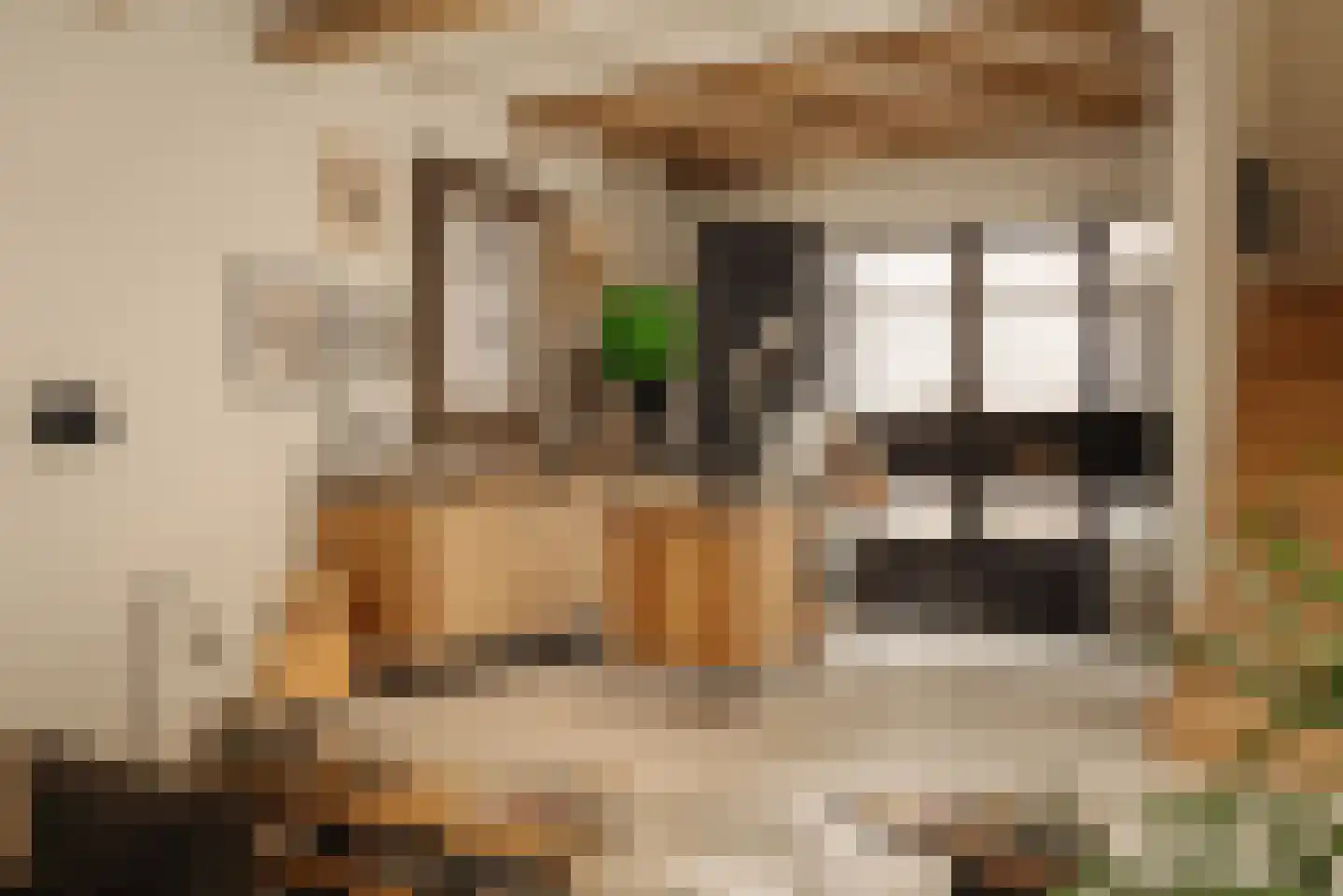 Lijnbaansstraat 3 A Amsterdam thumbnail 11