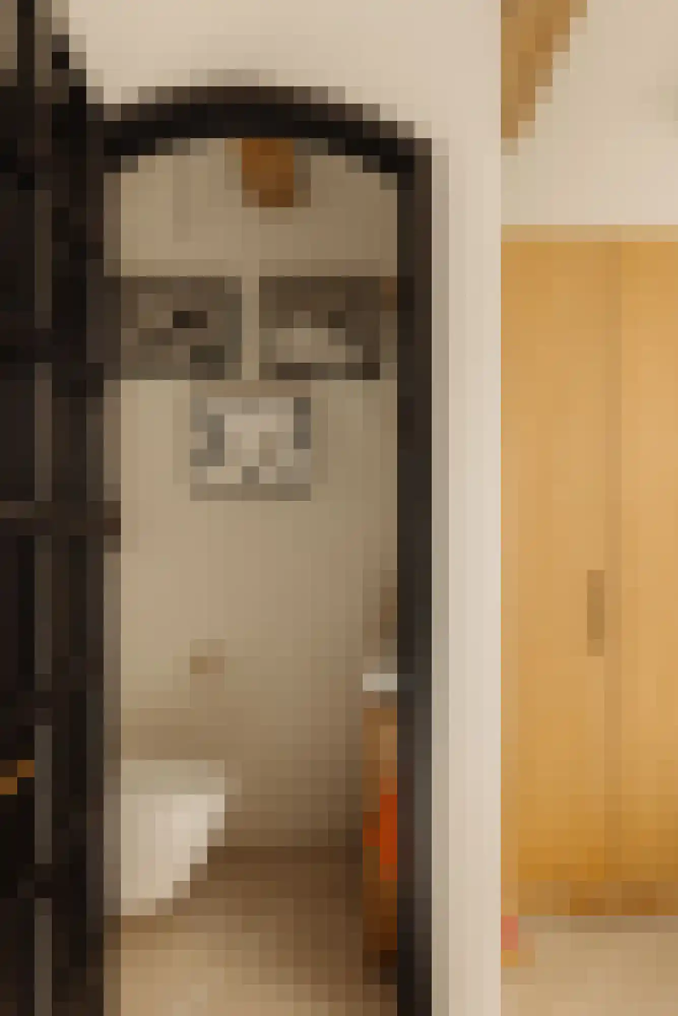 Lijnbaansstraat 3 A Amsterdam thumbnail 15