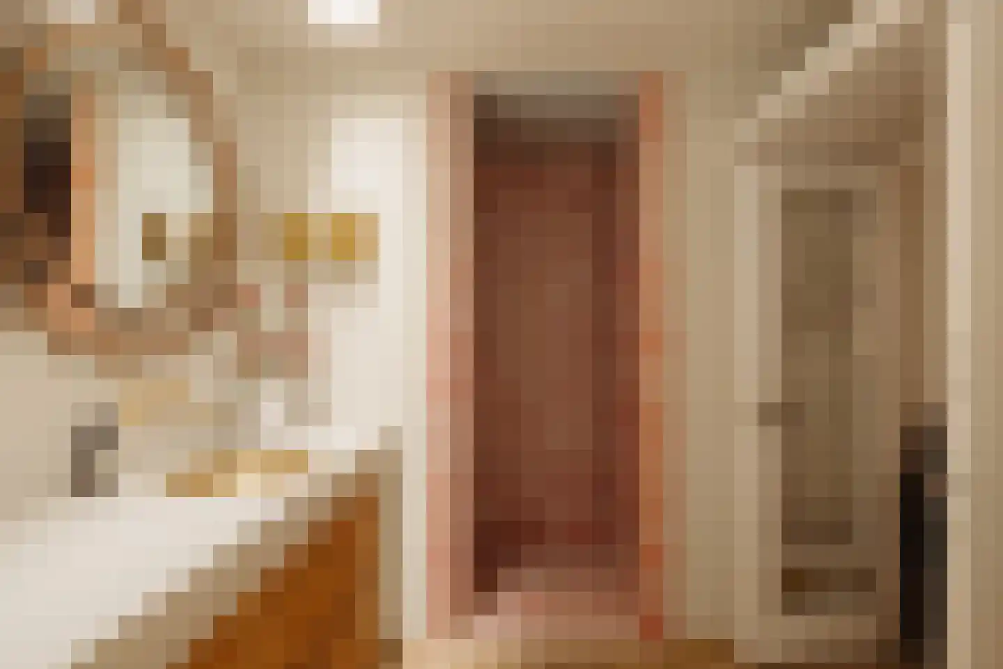 Lijnbaansstraat 3 A Amsterdam thumbnail 27