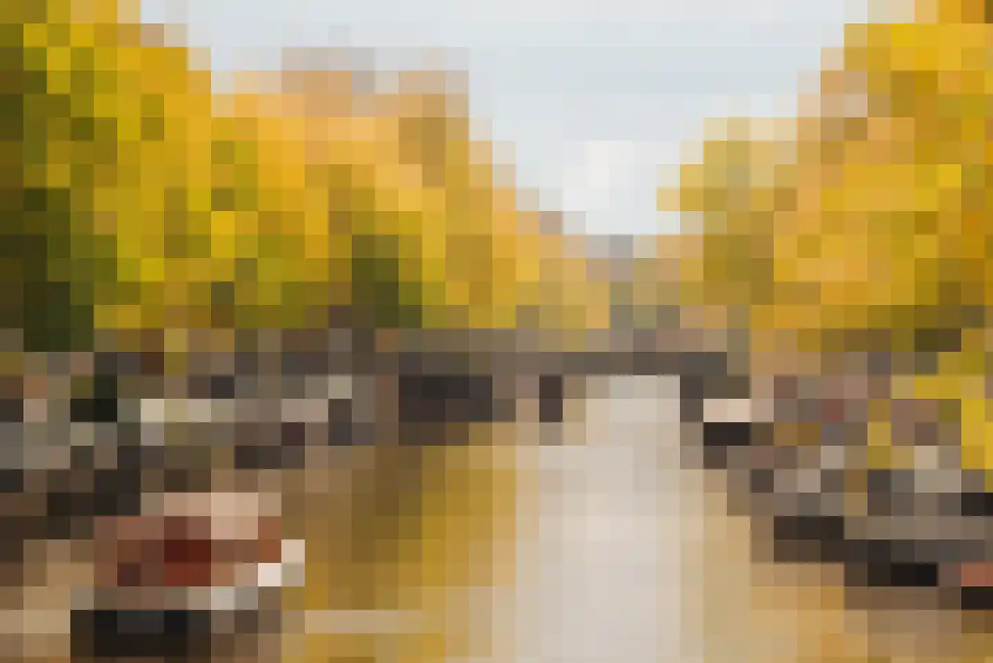 Lijnbaansstraat 3 A Amsterdam thumbnail 36