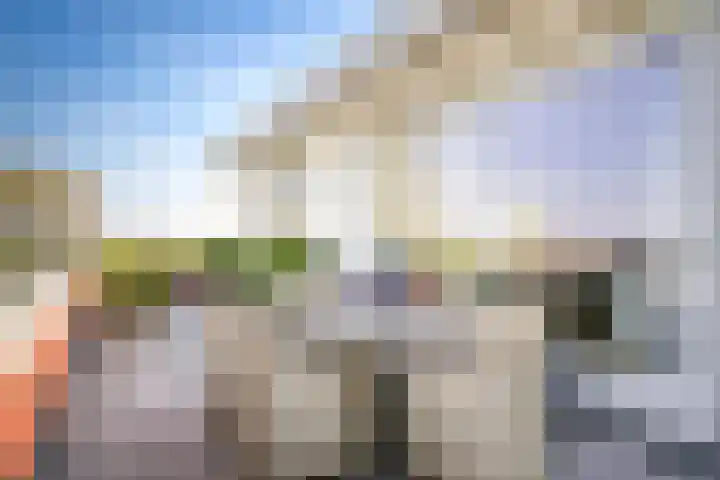 Lijnbaanstraat 1 10 Beneden-Leeuwen thumbnail 7