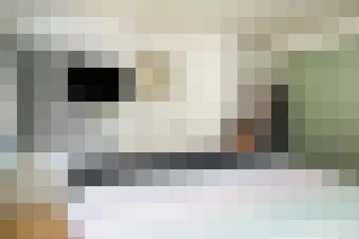 Lijnbaanstraat 12 Beneden-Leeuwen thumbnail 20