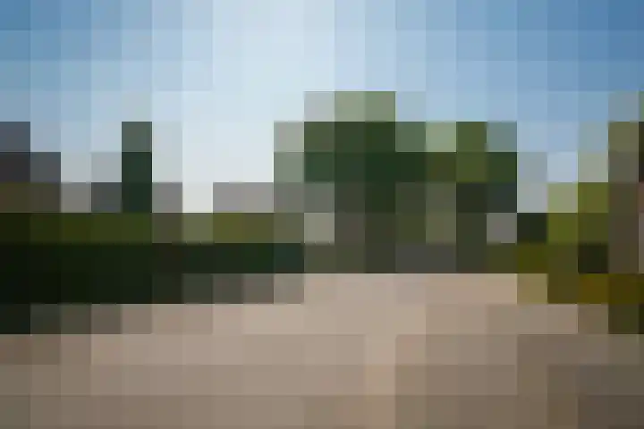 Lijnbaanstraat 12 Beneden-Leeuwen thumbnail 40
