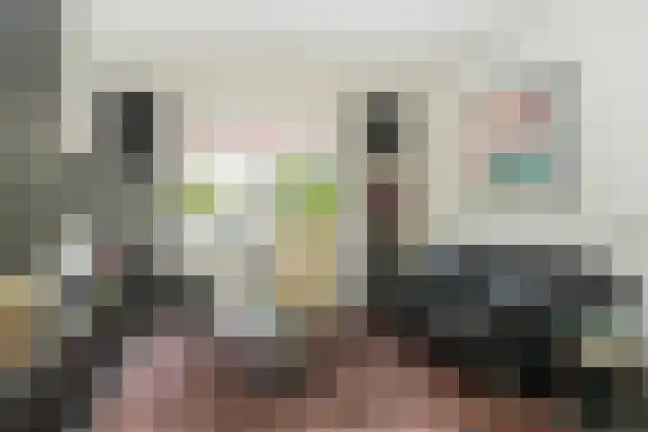 Lijnbaanstraat 12 Beneden-Leeuwen thumbnail 5