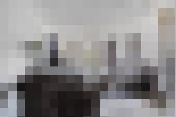 Lijnbaanstraat 17 Haarlem thumbnail 12