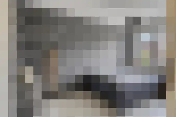 Lijnbaanstraat 17 Haarlem thumbnail 16