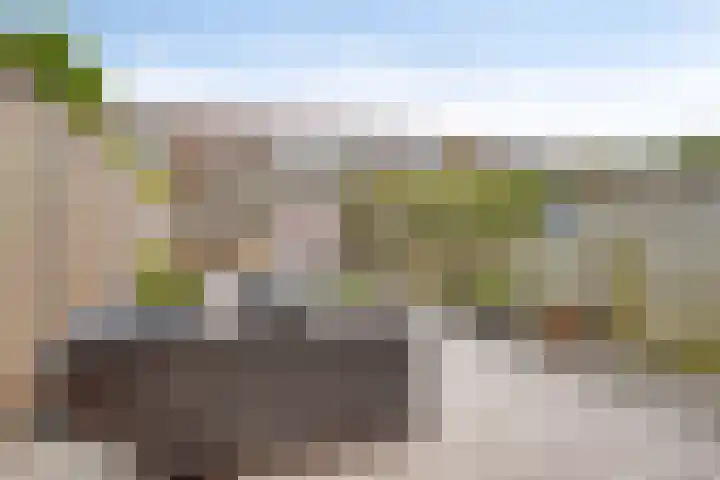 Lijnbaanstraat 17 Haarlem thumbnail 32