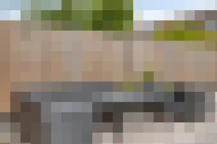Lijnbaanstraat 17 Haarlem thumbnail 33