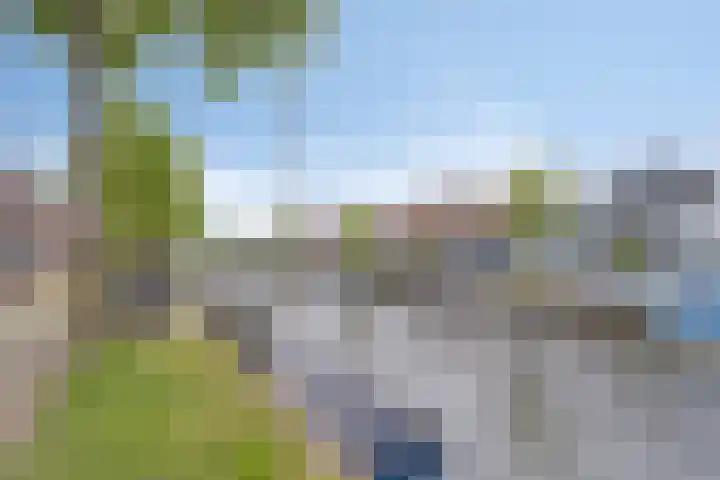 Lijnbaanstraat 17 Haarlem thumbnail 35