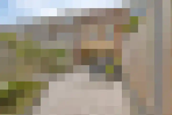 Lijnbaanstraat 17 Haarlem thumbnail 4