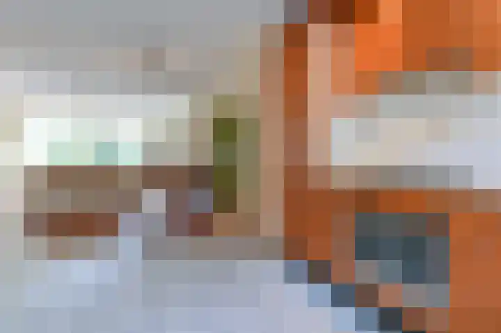 Lijnbaanstraat 19 Haarlem thumbnail 11