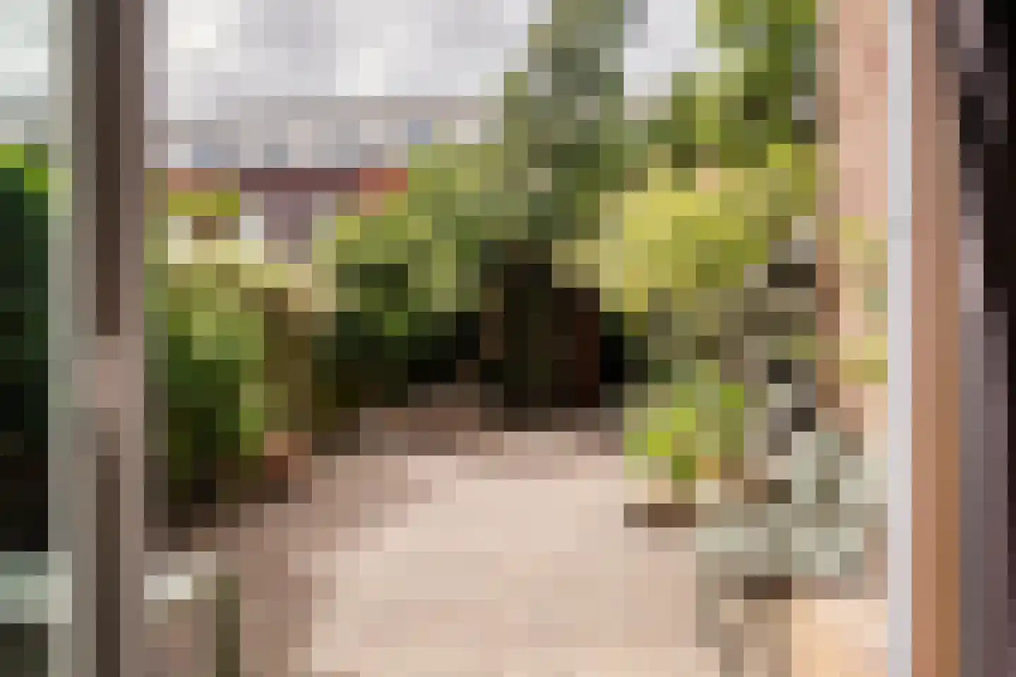 Lijnbaanstraat 22 Haarlem thumbnail 13