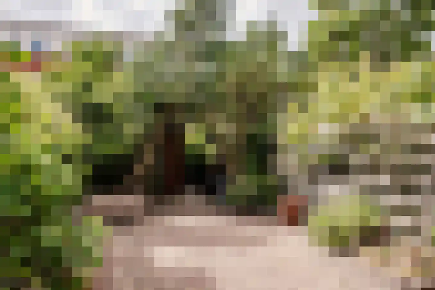 Lijnbaanstraat 22 Haarlem thumbnail 14