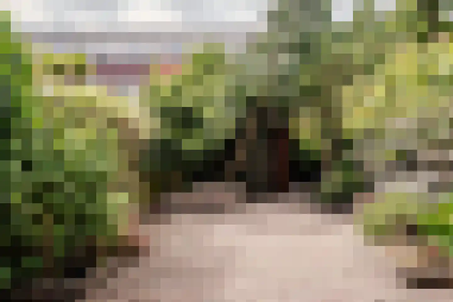 Lijnbaanstraat 22 Haarlem thumbnail 17