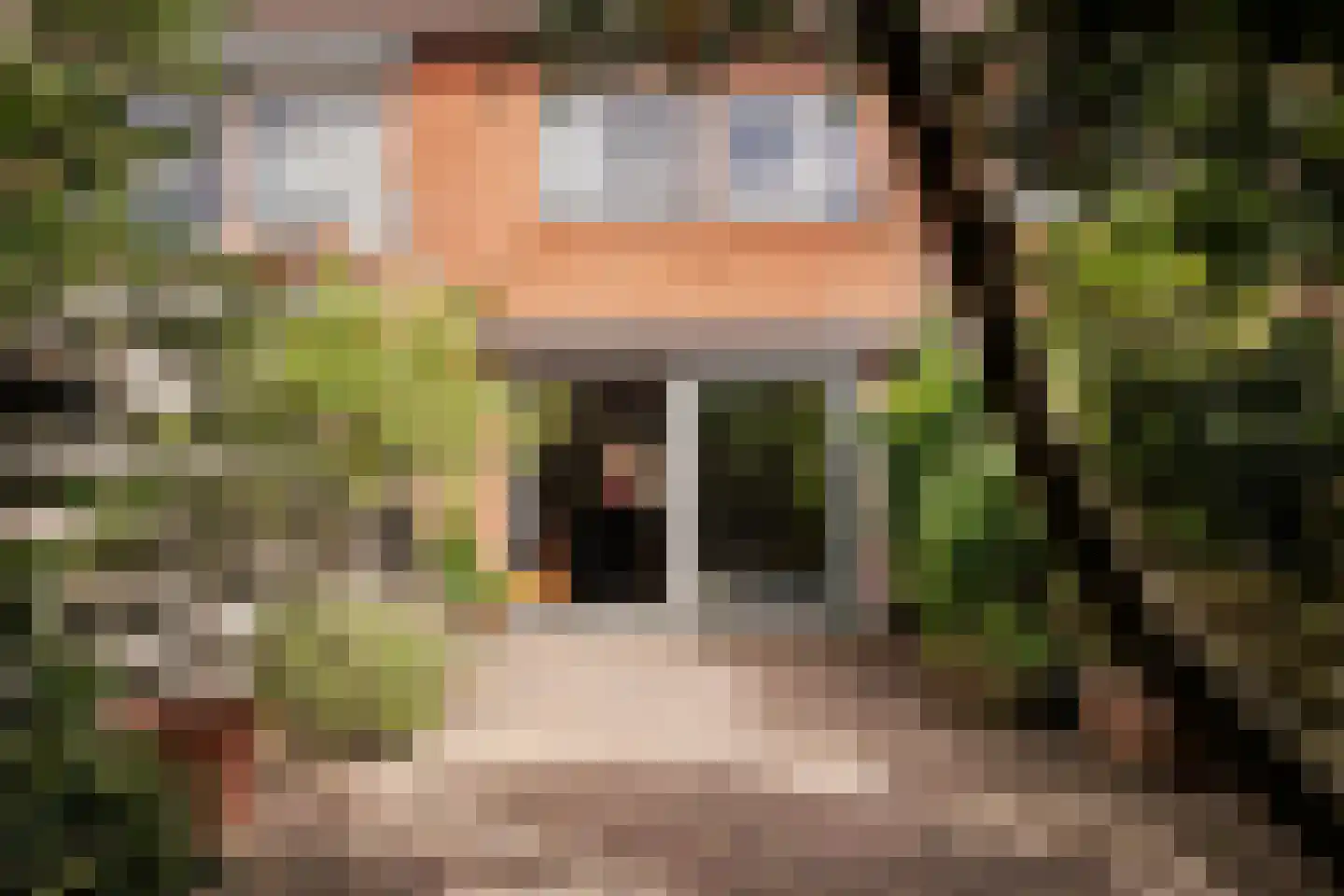 Lijnbaanstraat 22 Haarlem thumbnail 19
