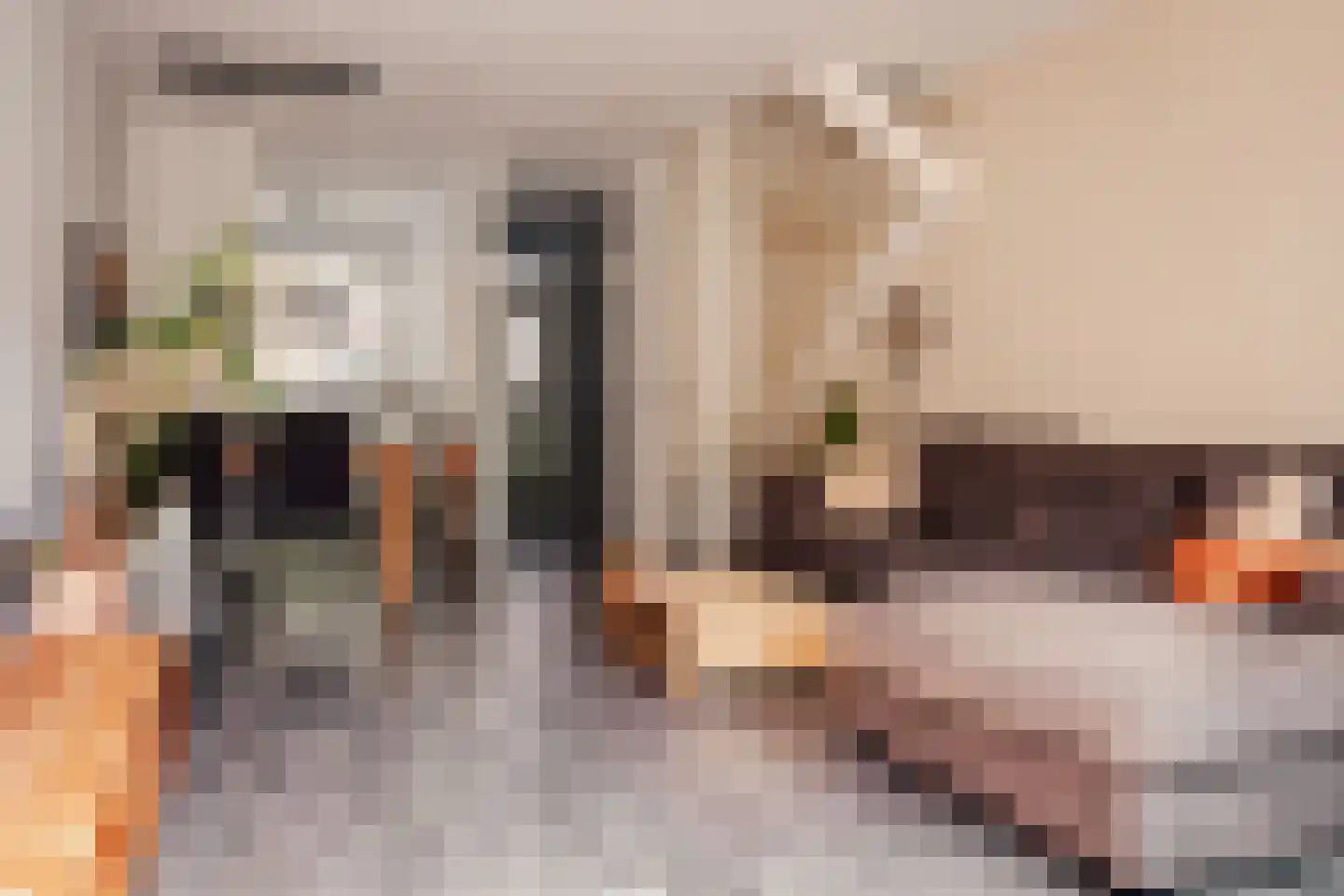 Lijnbaanstraat 22 Haarlem thumbnail 20