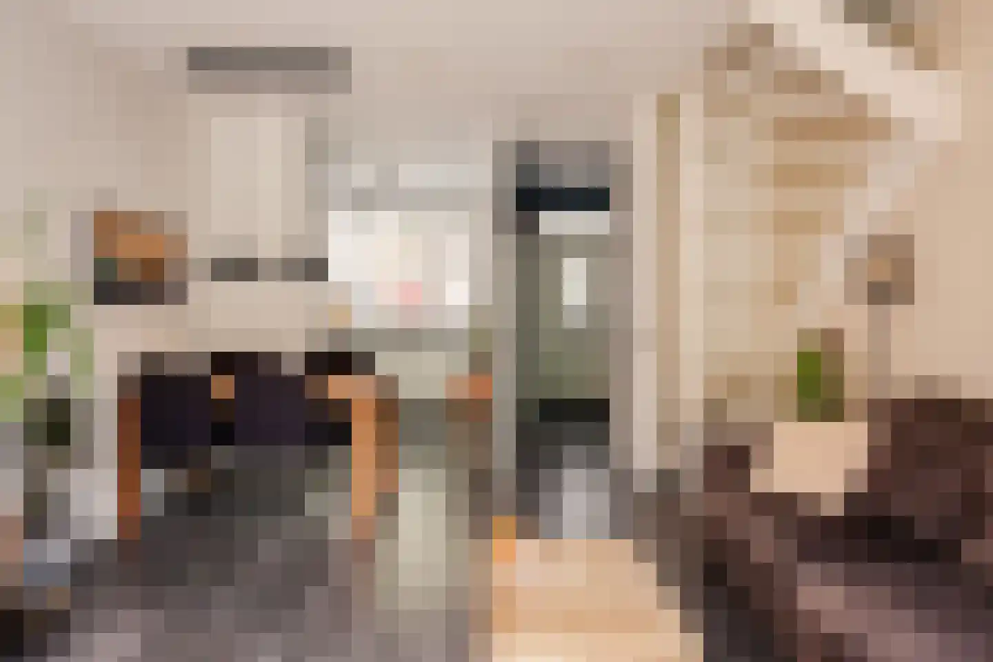 Lijnbaanstraat 22 Haarlem thumbnail 21