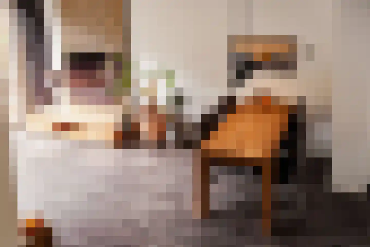 Lijnbaanstraat 22 Haarlem thumbnail 22