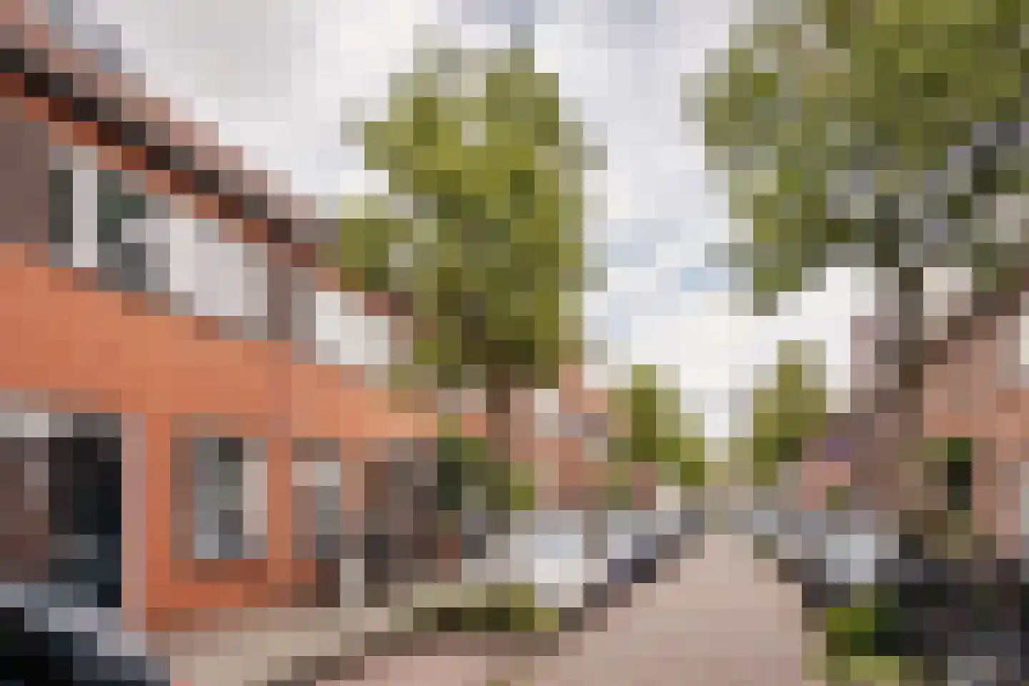 Lijnbaanstraat 22 Haarlem thumbnail 38