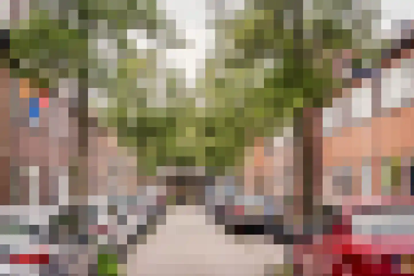 Lijnbaanstraat 22 Haarlem thumbnail 39