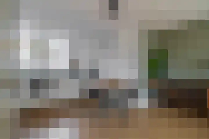 Lijnbaanstraat 27 Zaandam thumbnail 15