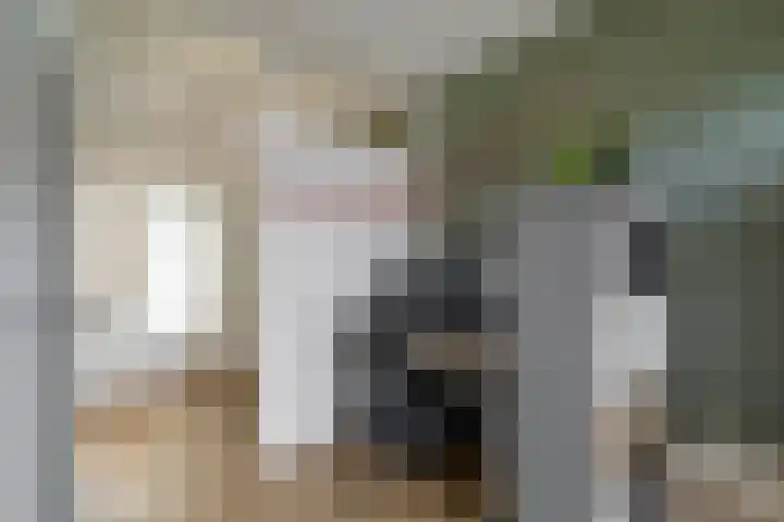 Lijnbaanstraat 27 Zaandam thumbnail 20