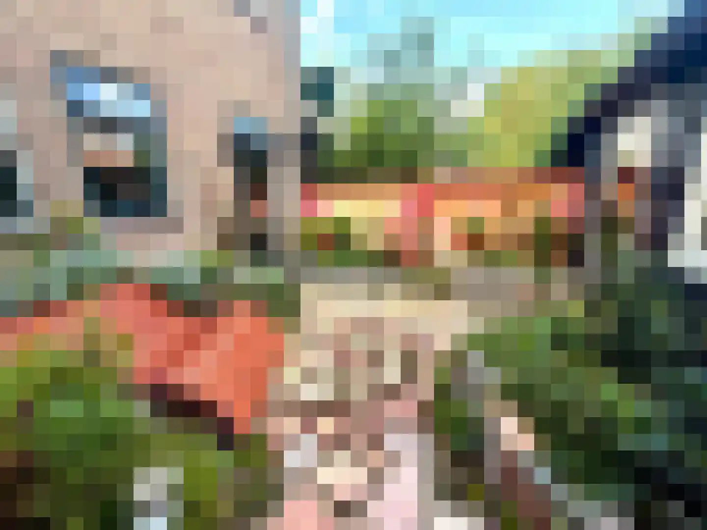 Lijnbaanstraat 27 Zaandam thumbnail 21