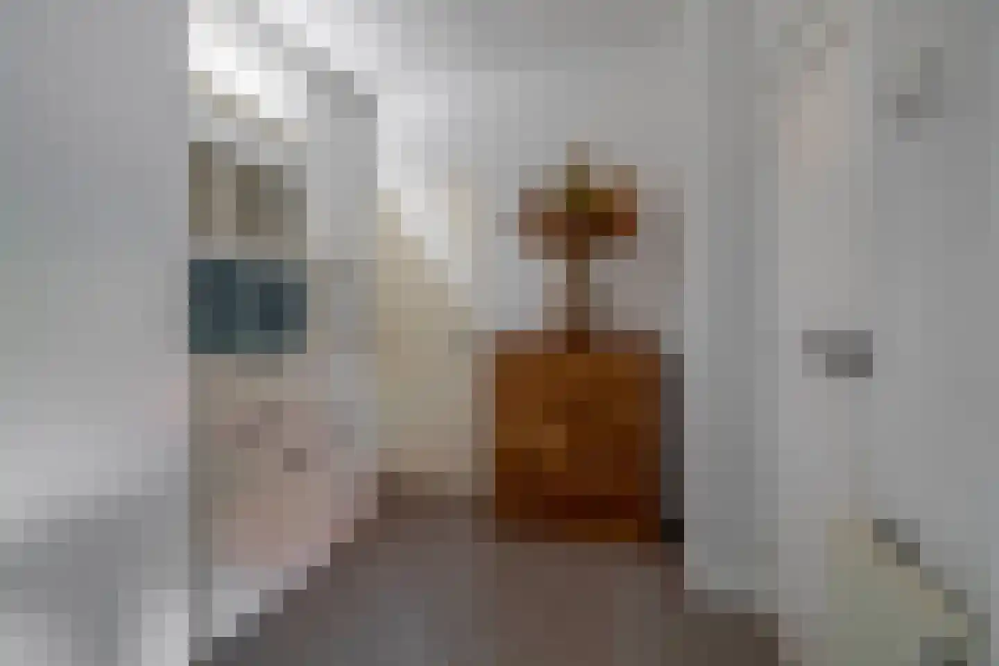 Lijnbaanstraat 27 Zaandam thumbnail 27