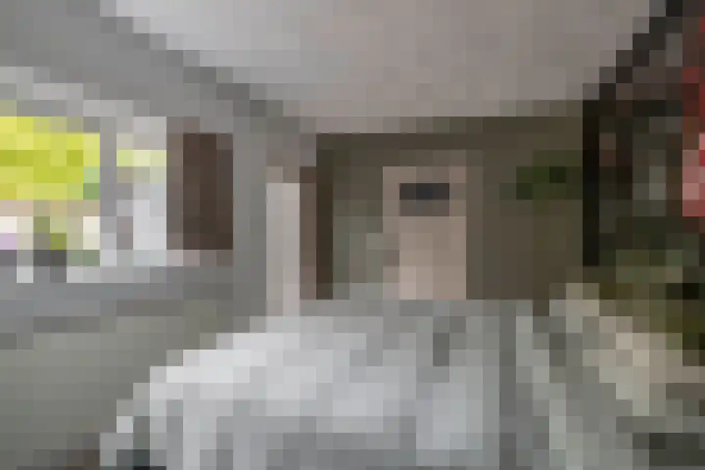Lijnbaanstraat 27 Zaandam thumbnail 28