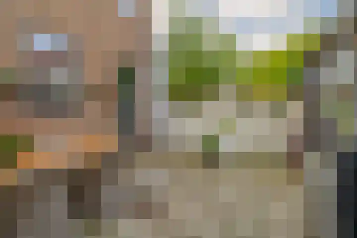 Lijnbaanstraat 27 Zaandam thumbnail 31