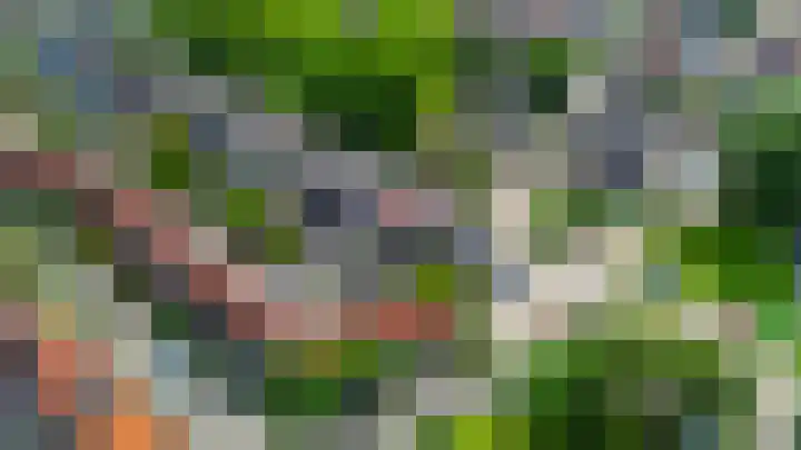Lijnbaanstraat 27 Zaandam thumbnail 39