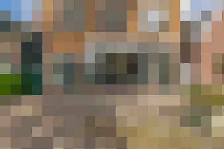 Lijnbaanstraat 27 Zaandam thumbnail 5