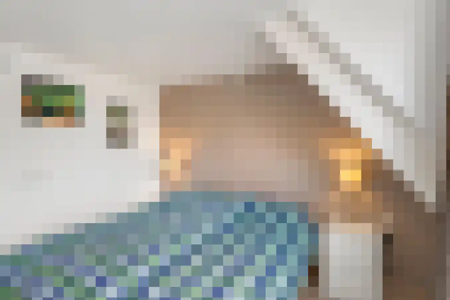 Lijnbaanstraat 29 Wageningen thumbnail 18