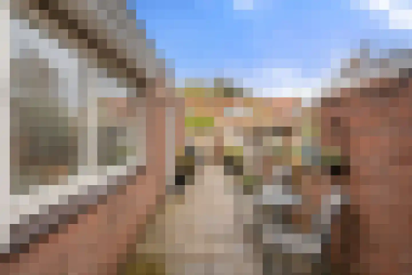 Lijnbaanstraat 29 Wageningen thumbnail 28