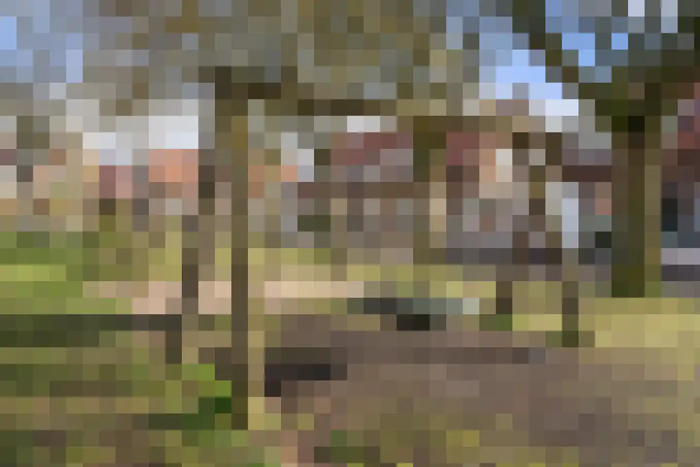Lijnbaanstraat 29 Wageningen thumbnail 38