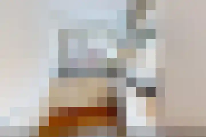 Lijnbaanstraat 32 Haarlem thumbnail 15