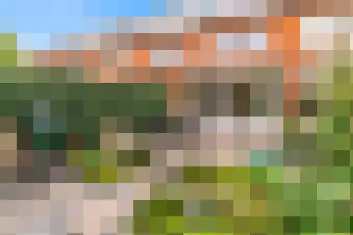 Lijnbaanstraat 32 Haarlem thumbnail 18