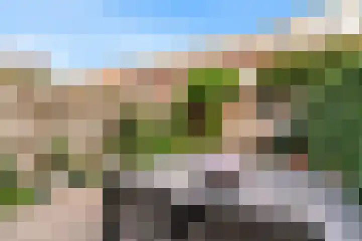 Lijnbaanstraat 32 Haarlem thumbnail 20