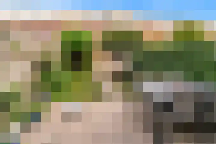 Lijnbaanstraat 32 Haarlem thumbnail 21