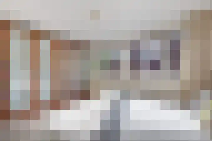 Lijnbaanstraat 32 Haarlem thumbnail 26